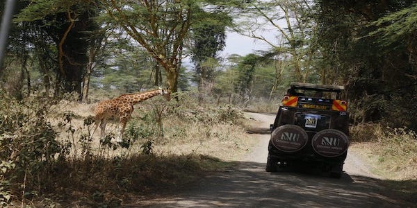Kenya Odyssey Safaris